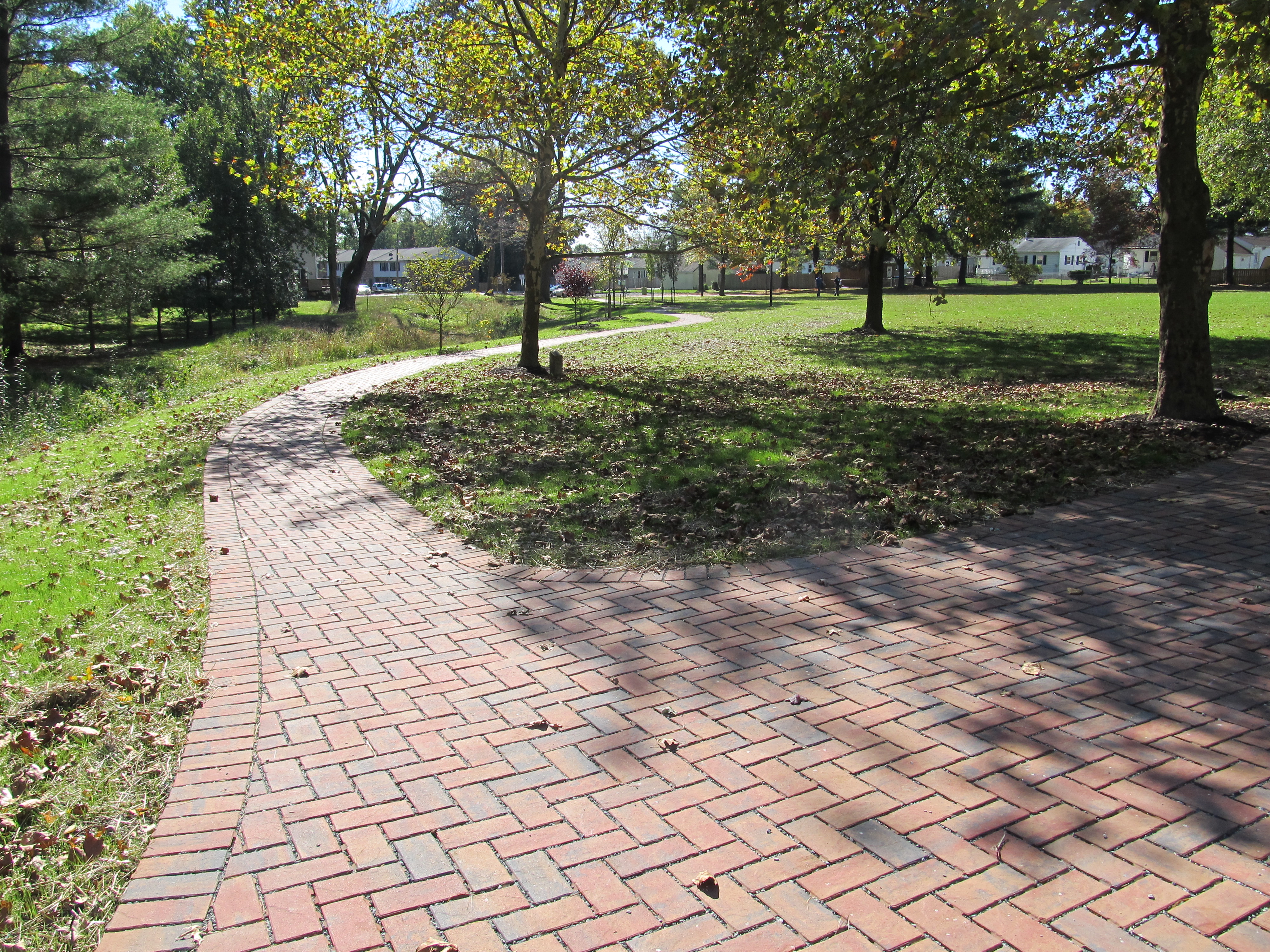 Plumtree Park 102113 (6)